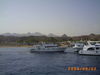Filename=Marco_Laura_-_Sharm_el_Sheikh_(45).jpeg
Filesize=794KiB
Dimensions=2048x1536
Date added=May 10, 2006 Marco_Laura_-_Sharm_el_Sheikh_(45).jpeg